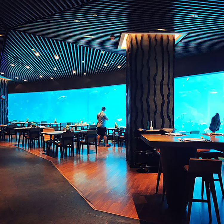  Leyu acrylic aquarium factory