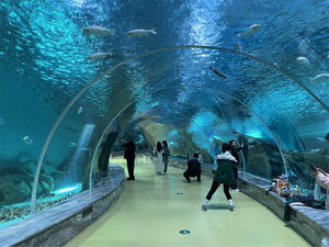 Oceanarium restaurant how to get rid of algae in fish tank Leyu professional customization - Leyu