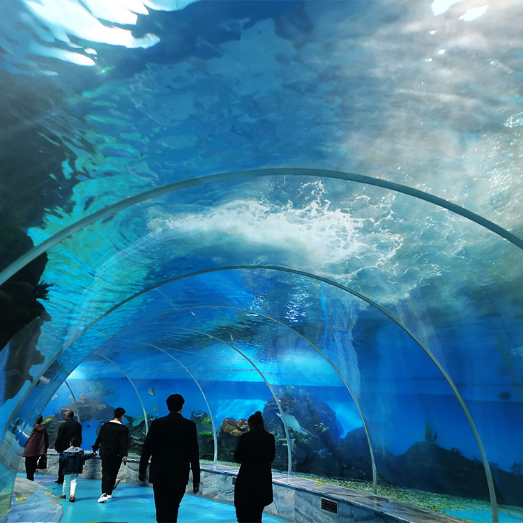 Using Acrylic Panel To Build Underwater Tunnel Aquariums-Leyu Acrylic Sheet Products Factory