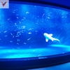 Luxury Design Custom Acrylic View Window For Aquarium -Leyu