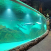 Custom Acrylic Window Aquarium Oceanarium-Leyu Acrylic Sheet Products Factory 