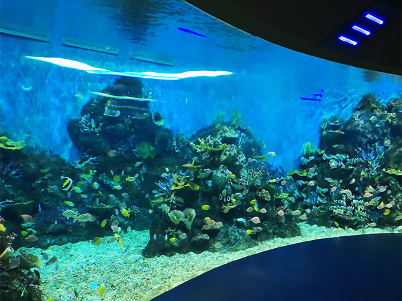 Chongqing Hanhai Polar Ocean World