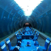 Large Ultra Clear Curved Oceanarium Aquarium Tanks Acrylic Glass Tunnel Leyu acrylic aquarium factory - Leyu 