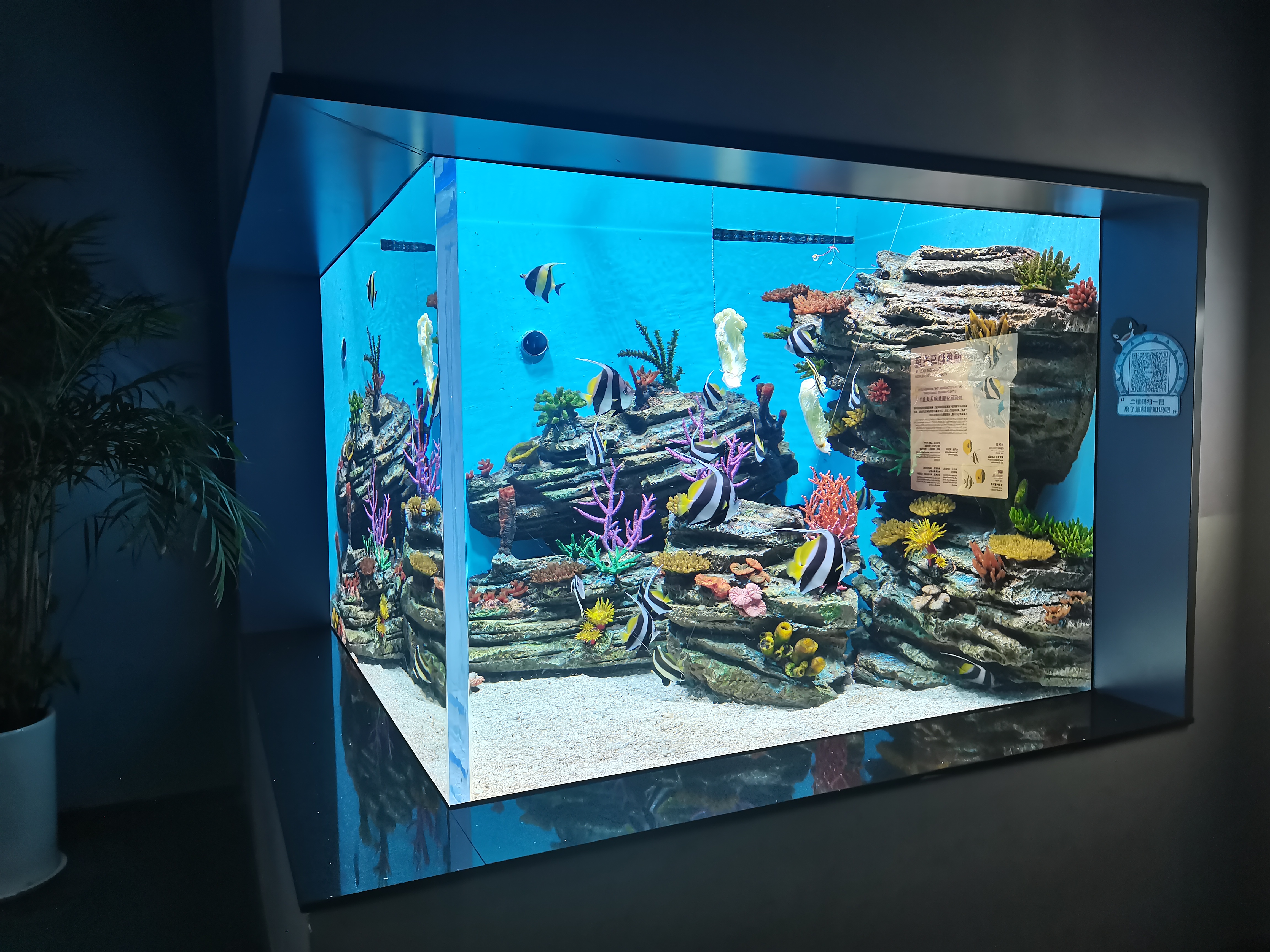 How does Leyu Acrylic ensure the quality of acrylic fish tanks?