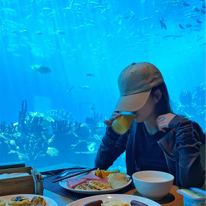Leyu acrylic aquarium factory tells you where to buy acrylic sheets for aquarium - Leyu 