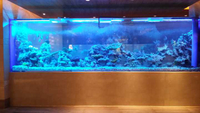 //iororwxhmmkrpr5p.ldycdn.com/cloud/pjBmqKmipmSRploqokojkr/How-to-own-Acrylic-Aquariums-Plastic-Fish-aquariums-Leyu.jpg