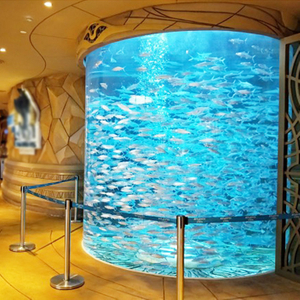  Considerations For Building Aquariums With Acrylic Sheet- Leyu 