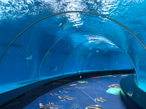 Lucited Material Acrylic Sheet For Aquariums In Custom Shape