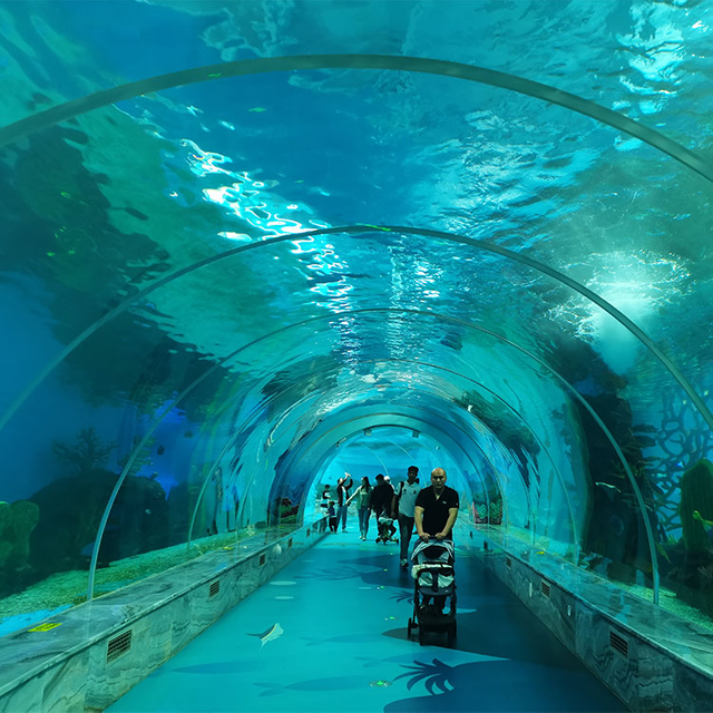 Large Ultra Clear Curved Oceanarium Aquarium Tanks Acrylic Glass Tunnel Leyu acrylic aquarium factory - Leyu 