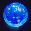 Pet Jellyfish USA Pet Jellyfish At Home live jellyfish aquarium live jellyfish aquarium for sale - Leyu 