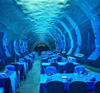 Can an acrylic water feature restaurant be built underwater- Leyu acrylic pools for sale