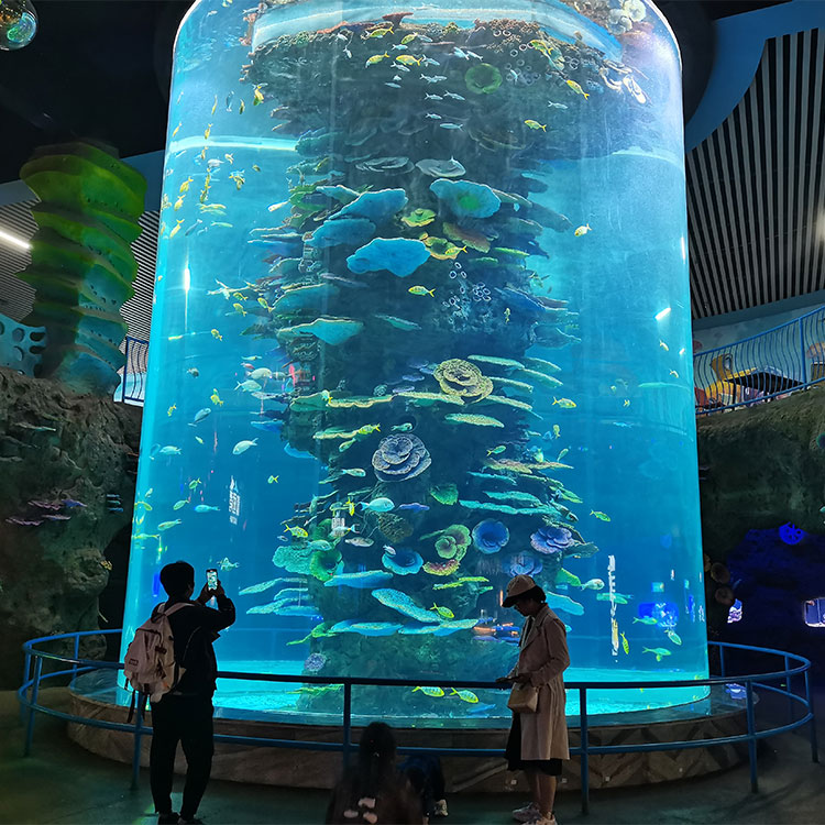 How to Design Large Acrylic Panels for Aquariums - Leyu Acrylic