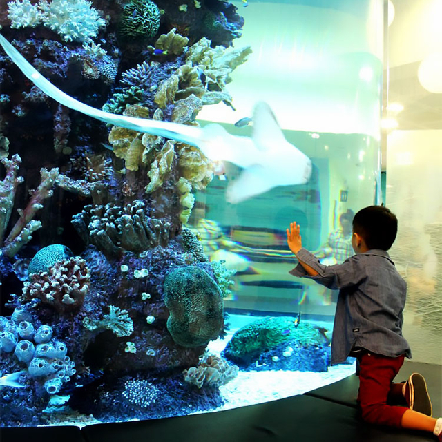 The Aquarium Cafe shop has acrylic windowsacrylic aquarium tunnels and acrylic fish tanks - Leyu