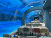 Leyu Acrylic Aquarium Factorywhere is the Bangalore Tunnel Aquarium - Leyu 