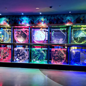 Some Considerations while Constructing a Fish Tank leyu tell you- Leyu Acrylic
