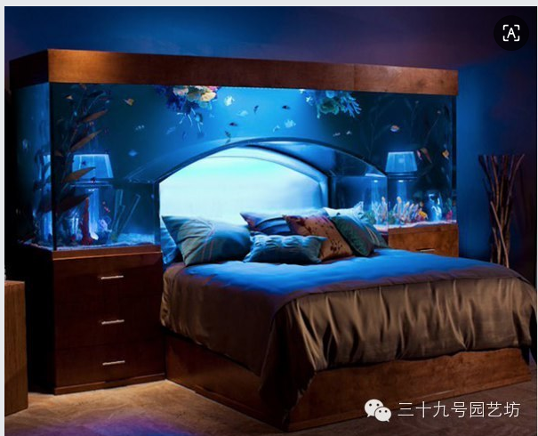 The Allure of Custom Acrylic Fish Tanks: Breaking Free from the Constraints of Glass