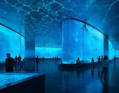 How To Customize An Acrylic Aquarium - LEYU