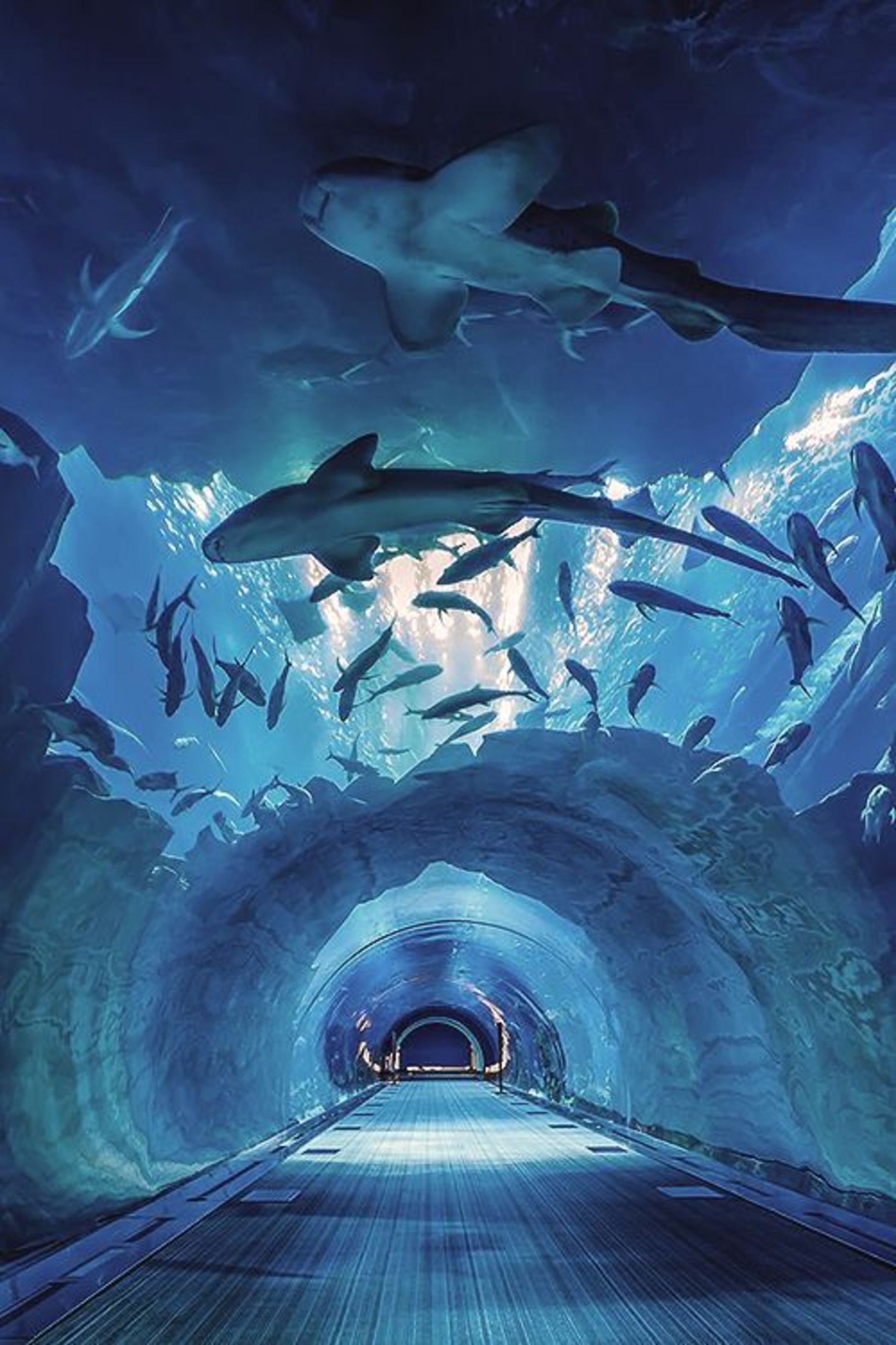 Characteristics and construction process of acrylic submarine tunnel - leyu acrylic