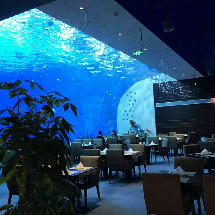 Dive into the Future: Why Custom Acrylic Aquariums Are Trending in 2025