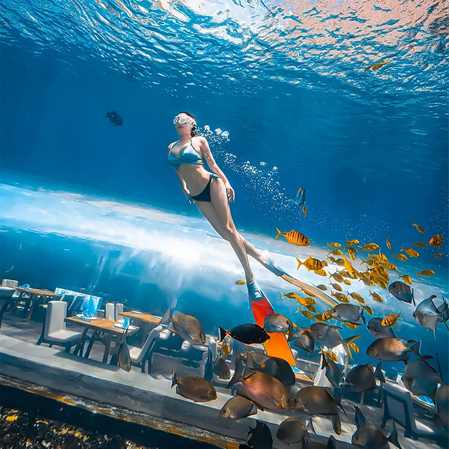 360 Aquarium Tunnel Polar Ocean World - Leyu
