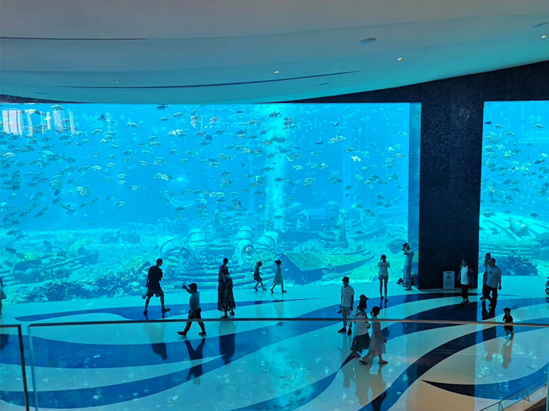 Dali Polar Ocean World