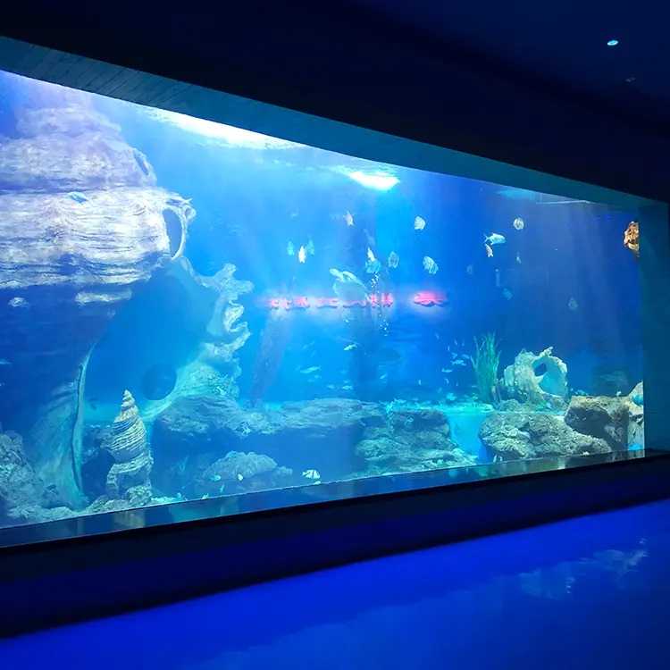 Which aquarium manufacturers is the best torecommend Leyu Acrylic aquarium Factory - Leyu