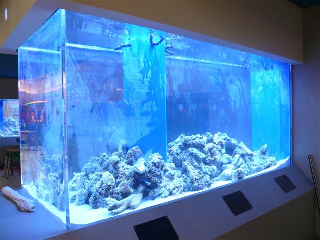 Elevate Your Space with Stunning Acrylic Aquariums - LEYU