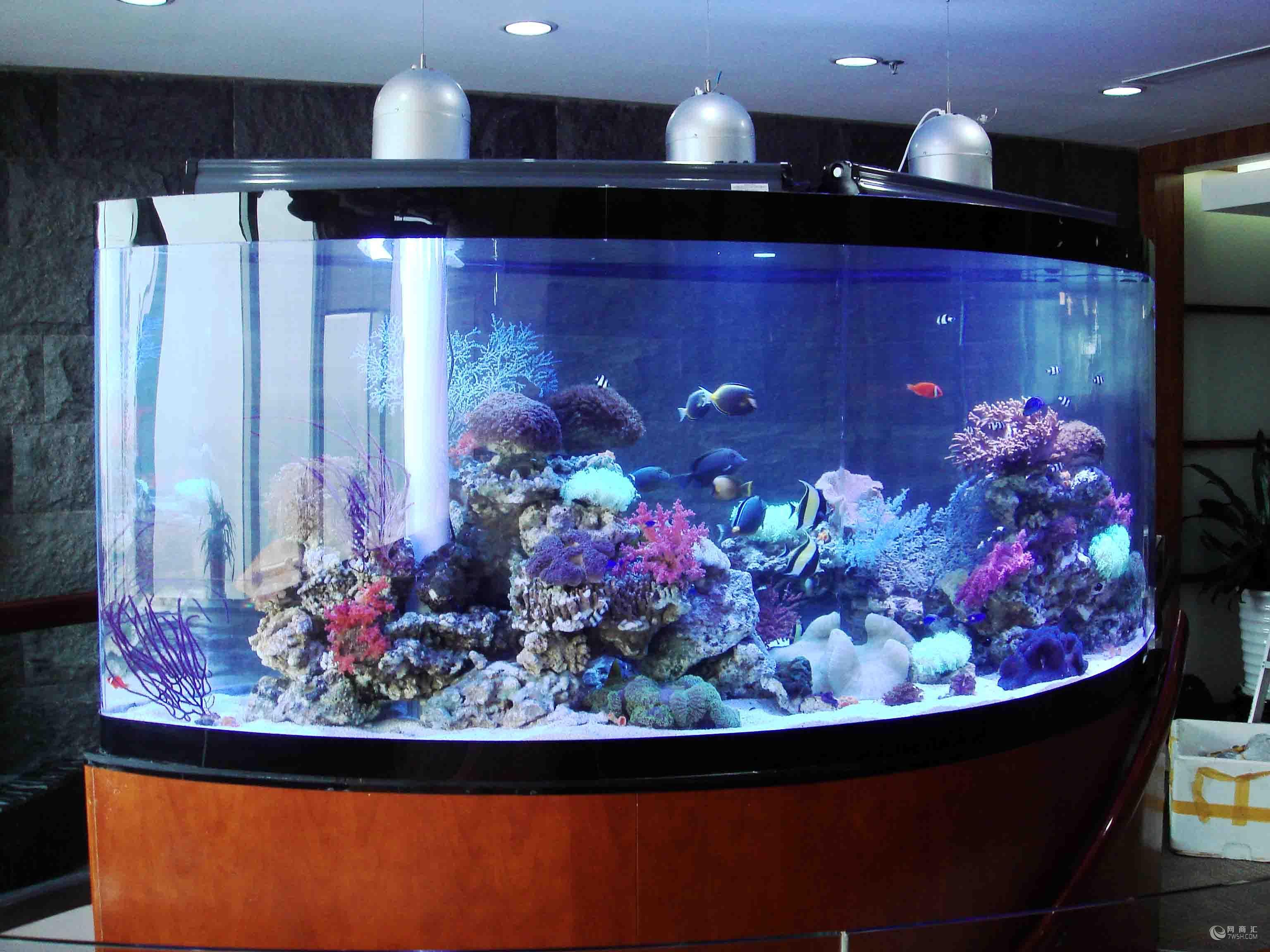 Leyu acrylic is a Acrylic Aquarium Manufacturer and Builder - Leyu