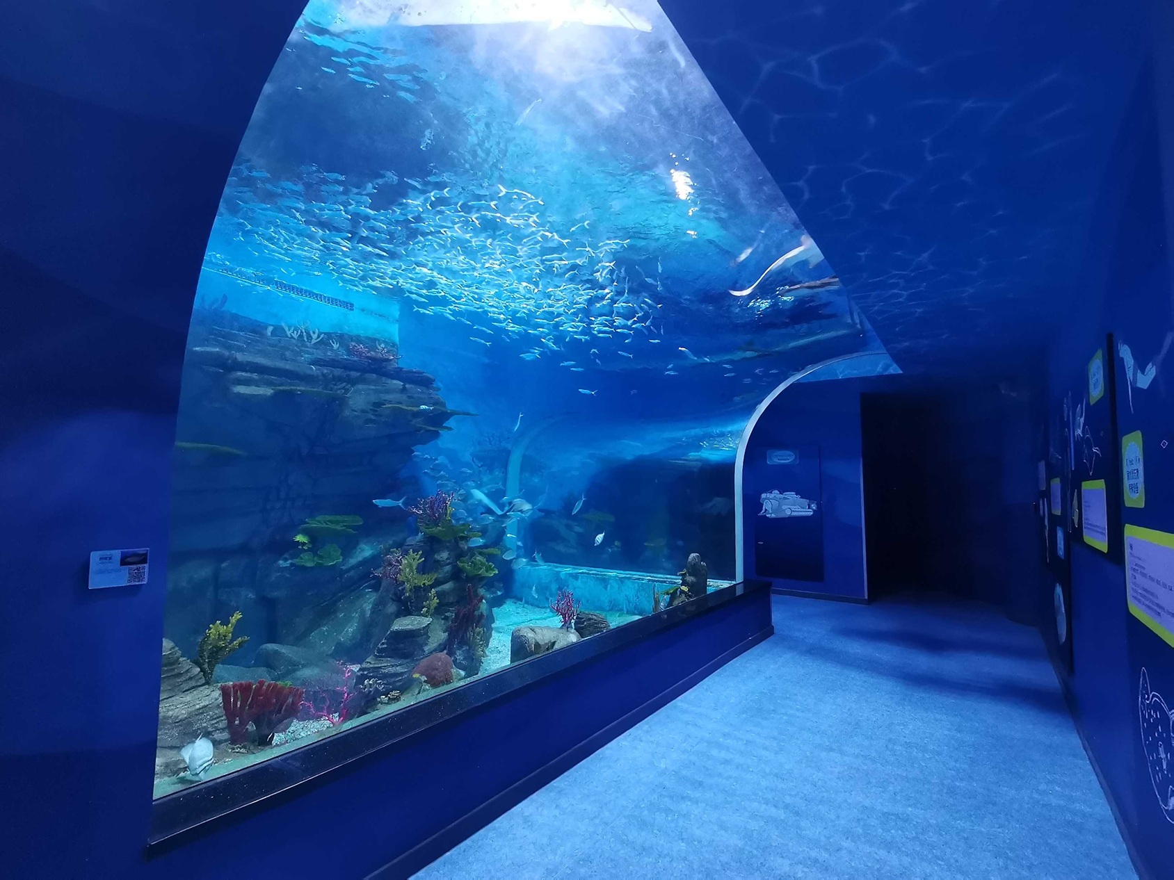 How to ensure the safety of an acrylic fish tank - leyu acrylic