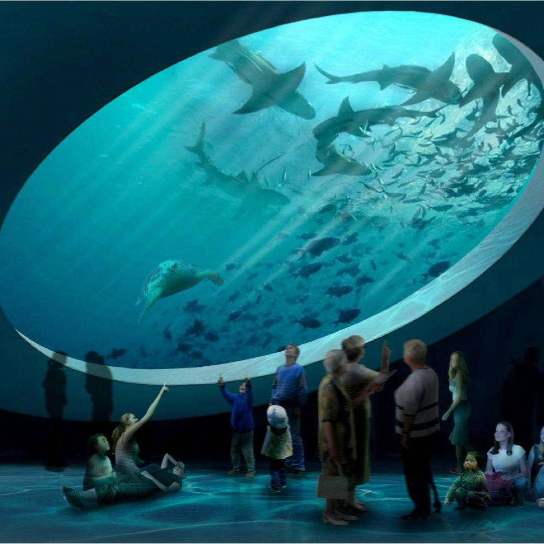 Which aquarium manufacturer is the best?