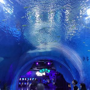 How to find chinese manufacturer of acrylic glass Tunnel aquariums- Leyu Acrylic Sheet Products Factory