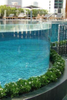 Acrylic pool viewing boards of different shapes and curves- Leyu Acrylic Sheet Products Factory