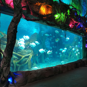 Professional factory customized acrylic aquarium panels of any size in ocean park - Leyu