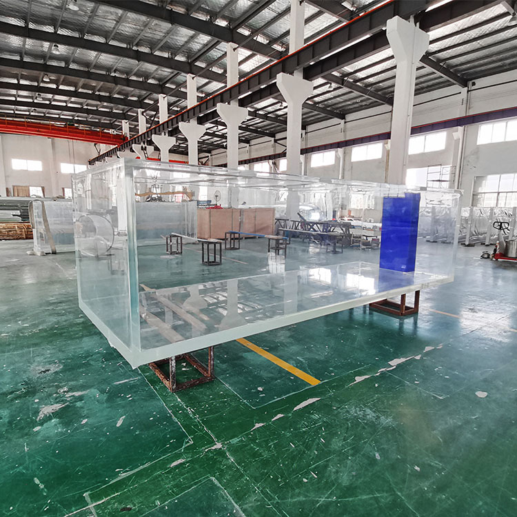 How Do You Get Algae Off Acrylic Aquarium Tank?-leyu Acrylic Sheet Product Factory