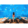A Company Manufactures Rectangular Aquariums And Customs Shaped Fish Tank -Leyu Acrylic Sheet Products Factory