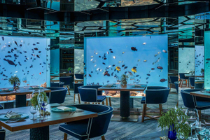 Aqualife Aquarium constructed by Leyu Acrylic Aquarium Factory - Leyu
