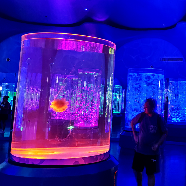 Leyu Acrylic Aquarium Factory has completed over 70 Aquarium Architectures - Leyu