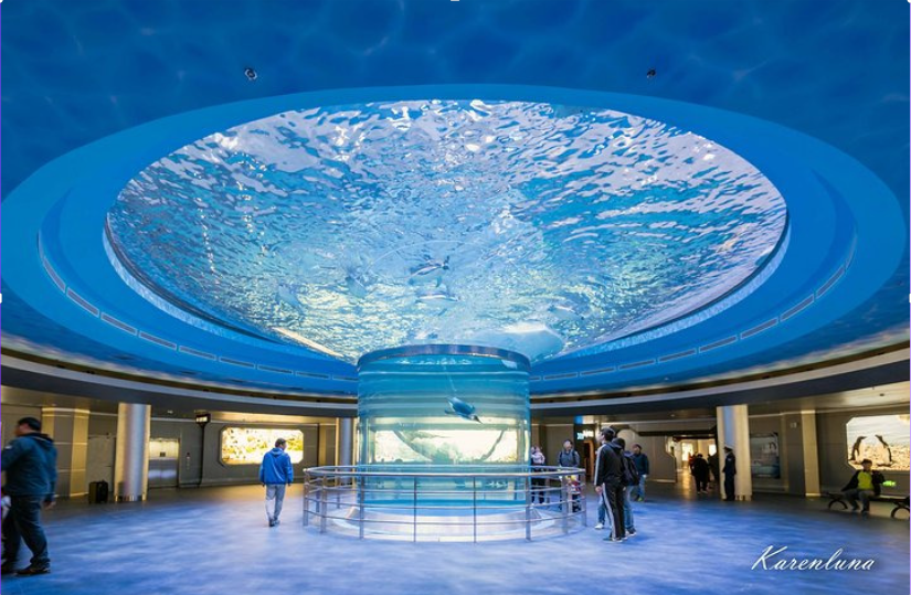 Discover The Pinnacle of Acrylic Aquarium Design And Customization - LEYU 