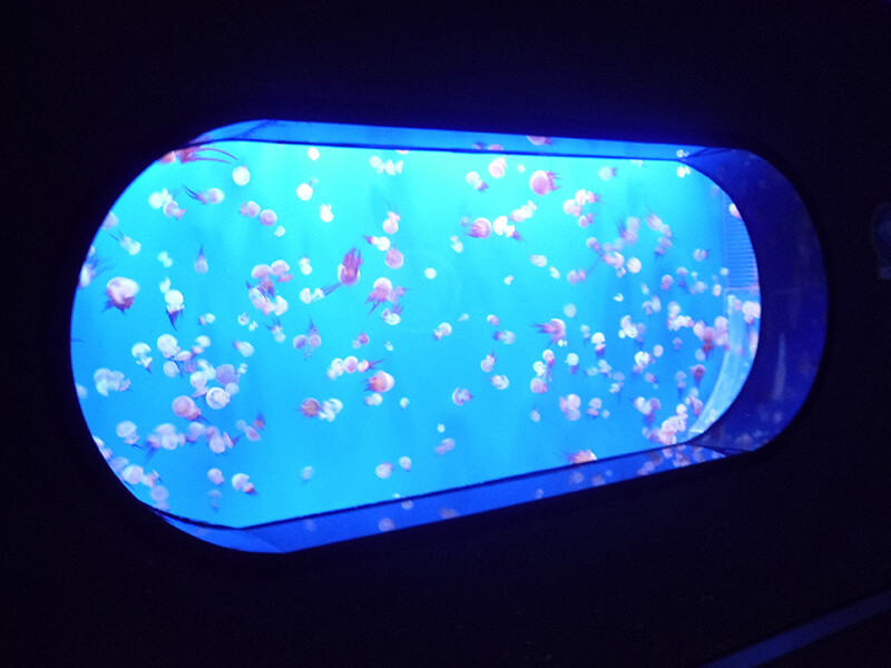 Nanjing Underwater World