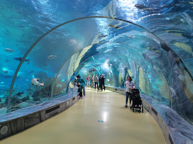 Chinese factory Acrylic Tunnel Supplier - Leyu Acrylic Sheet Products Factory