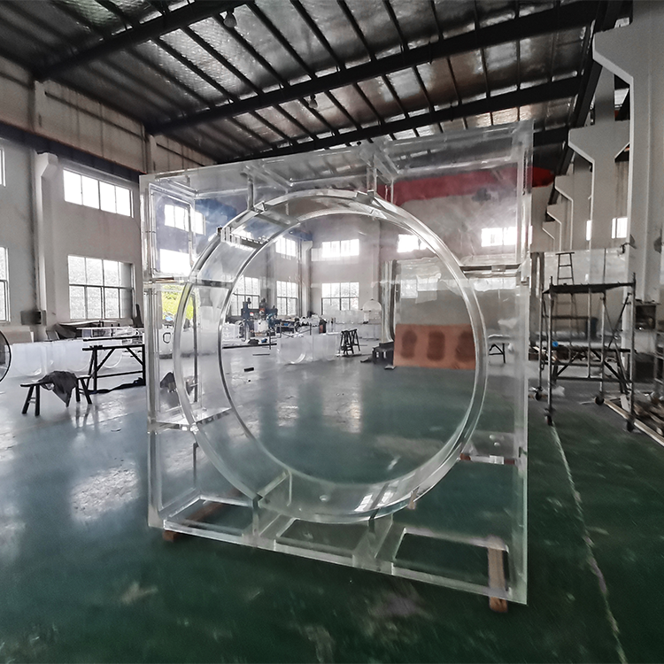 Pet Jellyfish USA Pet Jellyfish At Home live jellyfish aquarium live jellyfish aquarium for sale - Leyu 