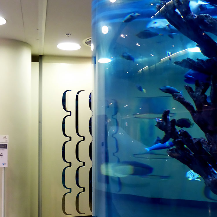 Leyu acrylic aquarium factory tells you where to buy acrylic sheets for aquarium - Leyu 