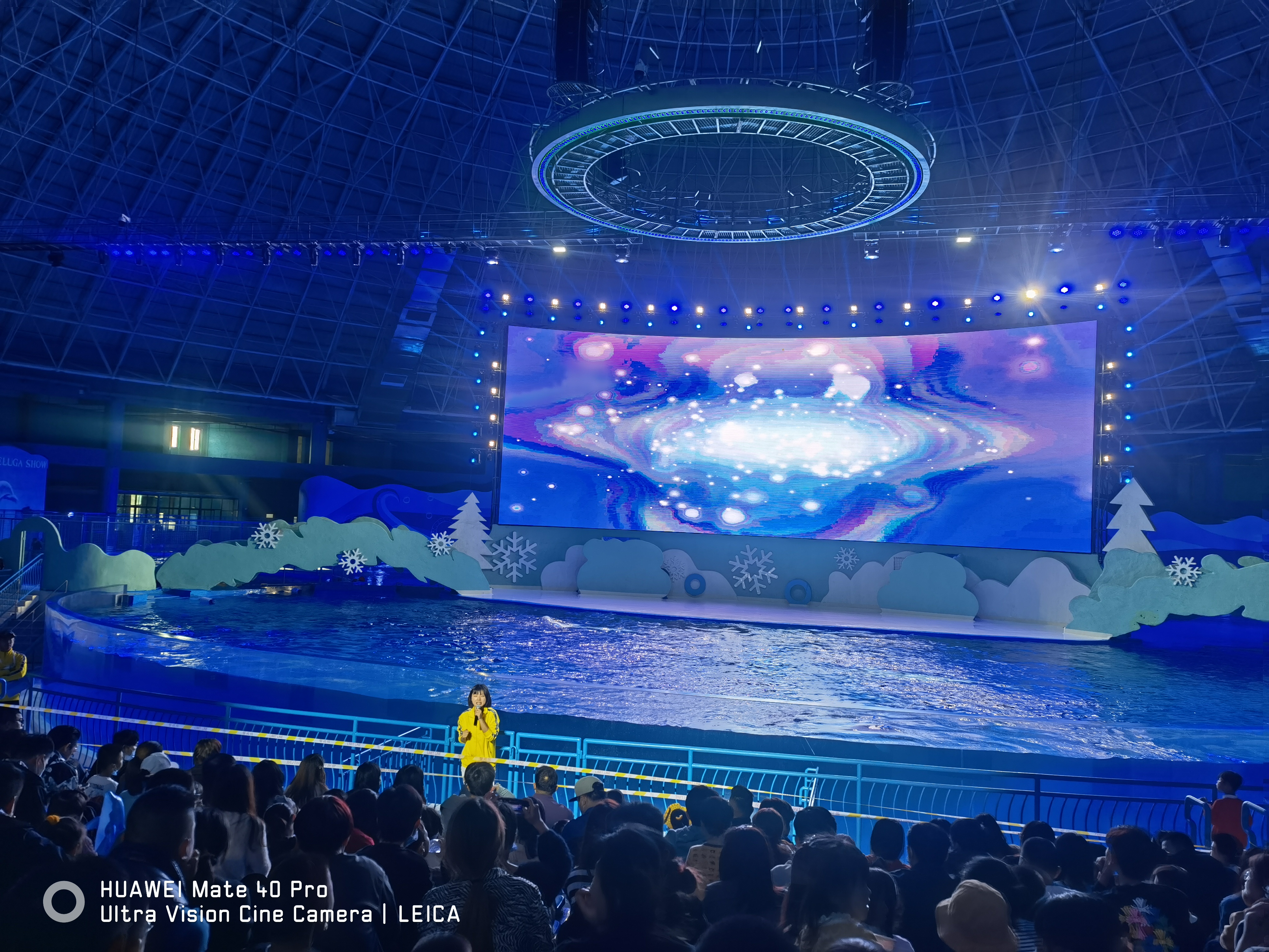 Acrylic Aquariums in Oceanariums: Applications and Precautions for Customizing Large Tanks