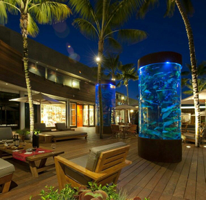 How to set up a seaclear acrylic aquarium professionally - Leyu 