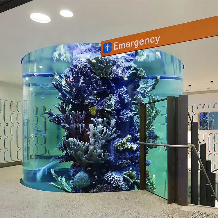What Is The Best Cleaner for Acrylic Fish Aquarium Tanks Ocean Park Cusotm Fish Tank- Leyu 