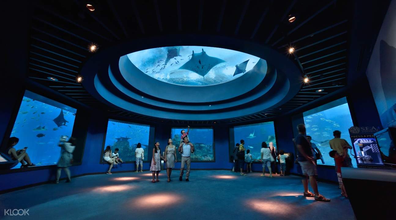 5 Key Core Differences Between Acrylic and Glass Aquariums - LEYU