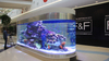 Sea clear acrylic aquarium by the Leyu acrylic aquarium factory - Leyu 