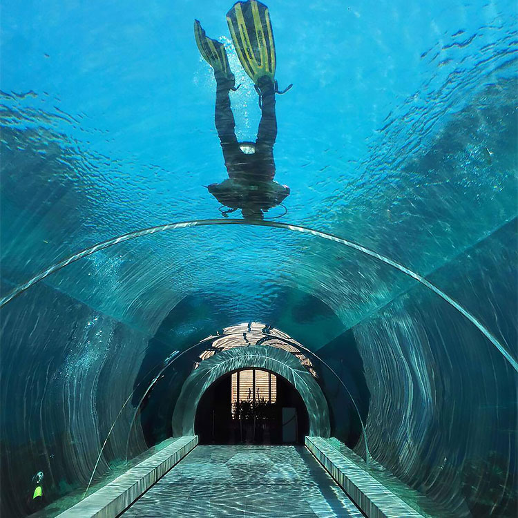 Aquarium Tunnel&nbsp;Construction
