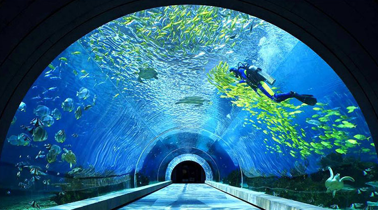 an Aquarium Tunnel