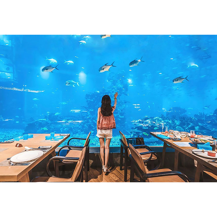 Best Acrylic Aquarium Manufacturer-Leyu Acrylic Sheet Products Factory